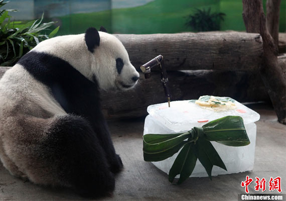 朔斋竹溪盛称鉴台李君谈天小诗戏赠_大陆赠台大熊猫团团突现癫痫_持台湾通行证可以从台过境香港澳门游玩几天再回大陆吗