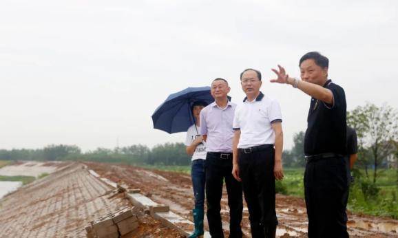 网红猫表情包_网红称包下高邮湖_网红橘猫表情包