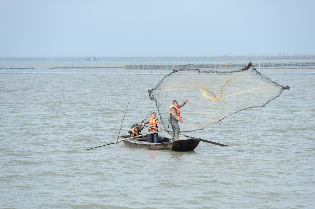 网红猫表情包_网红橘猫表情包_网红称包下高邮湖