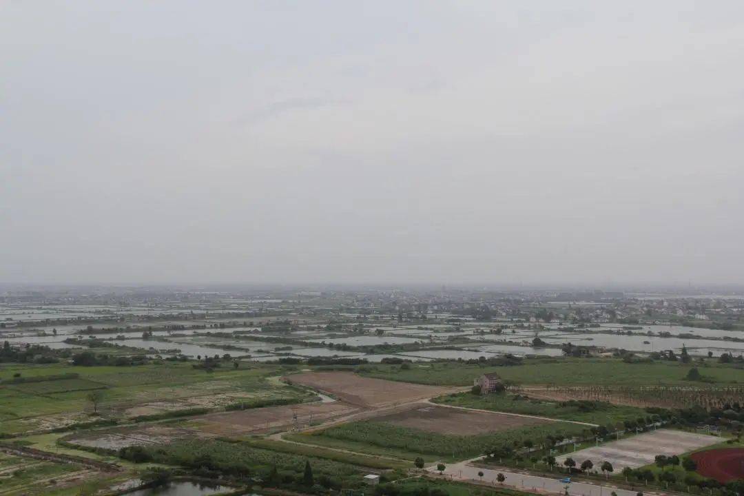 网红称包下高邮湖_暴走大事件第三代网红表情包_湖南村民用牛羊粪便泡水喝 称可治疗癌症