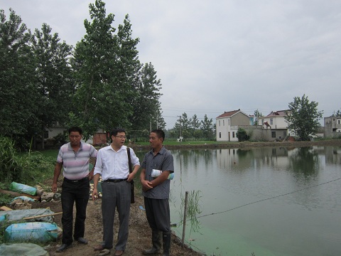 暴走大事件第三代网红表情包_湖南村民用牛羊粪便泡水喝 称可治疗癌症_网红称包下高邮湖