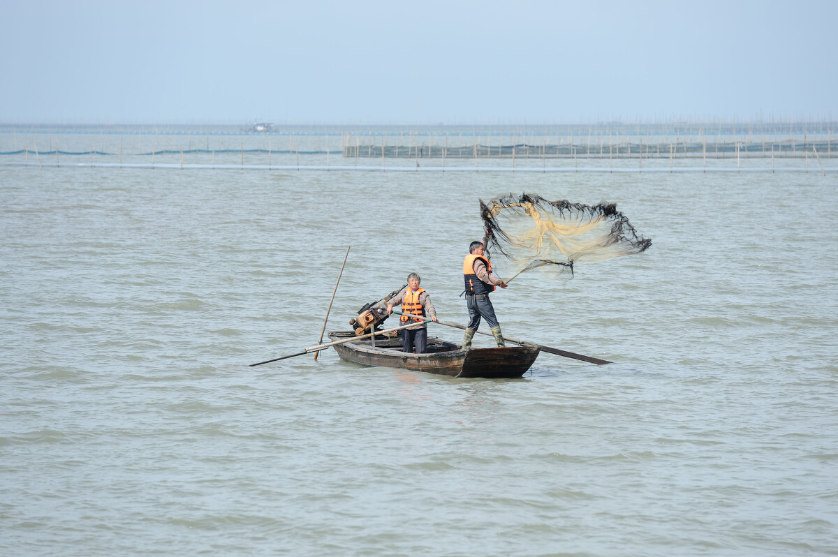 暴走大事件第三代网红表情包_网红称包下高邮湖_湖南村民用牛羊粪便泡水喝 称可治疗癌症