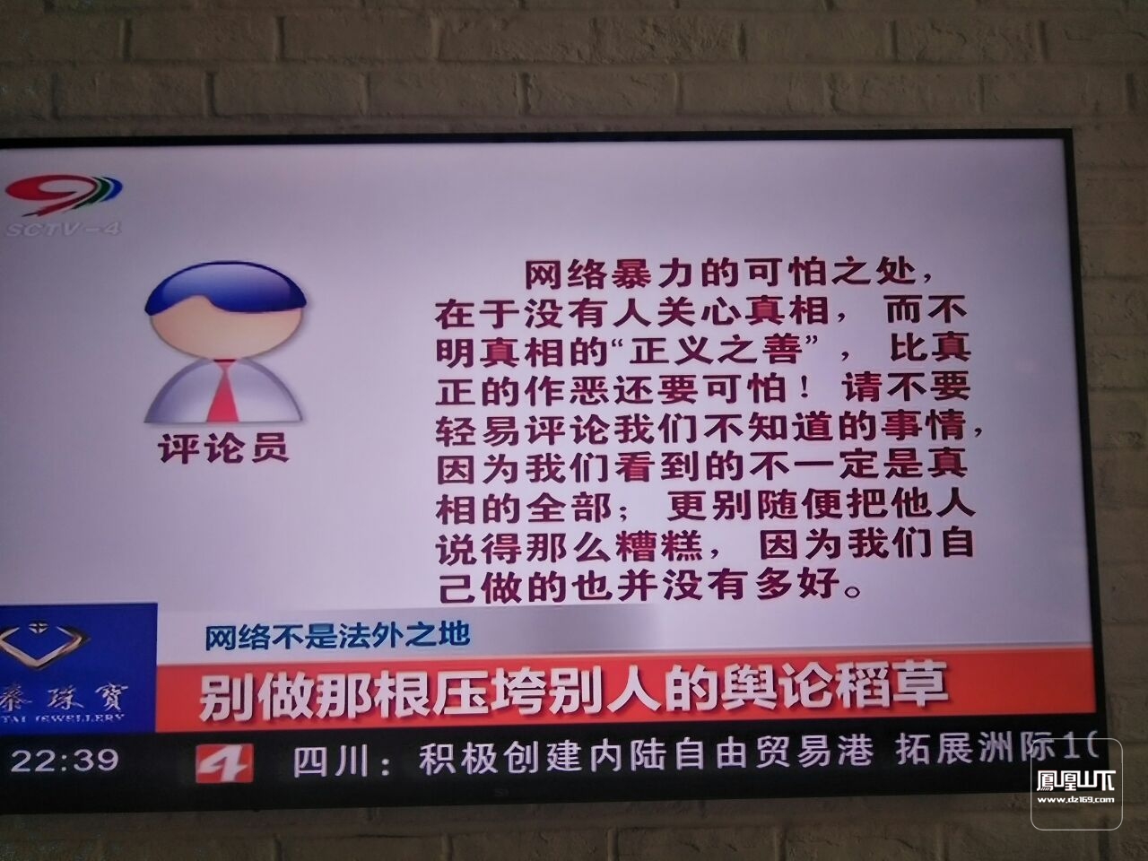 蒋劲夫否认家暴_孙茜否认被家暴_孙茜图片