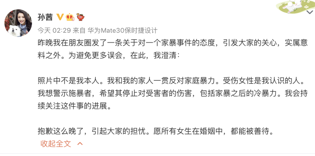 家暴男再婚还会家暴吗_打人是家暴 打球也是家暴_孙茜否认被家暴