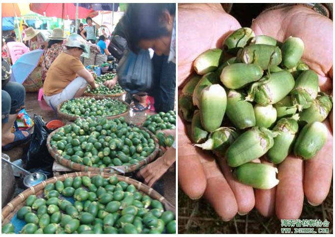 地下城与勇士下架_槟榔广告下架_多地要求下架槟榔 海南槟榔协会回应