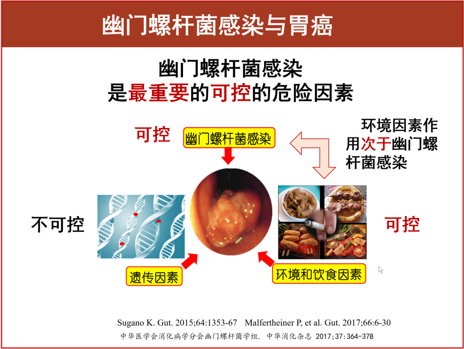 幽门螺杆杆菌_盐酸消旋山莨菪片 幽门螺杆_1家4人查出幽门螺杆菌 最小的6岁