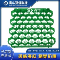 朝阳hdpe绿化塑料植草格款式新颖
