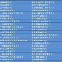 核准无行政区划无行业表述企业名称