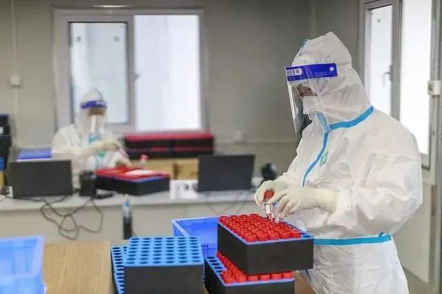 核检机构被指造假_肛门指检说无异常_肛门指检指腹