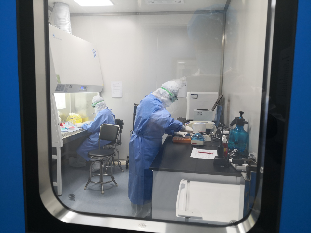 北京体检代检找人帮忙(北京体检代检机构公司)_跑男 游戏被指造假_核检机构被指造假