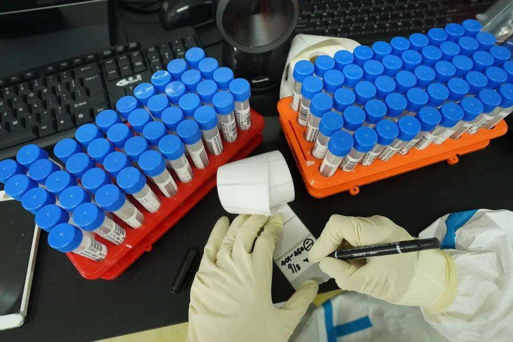 ipo推荐机构造假责任_舌尖2被指造假提琴女为艺人_核检机构被指造假