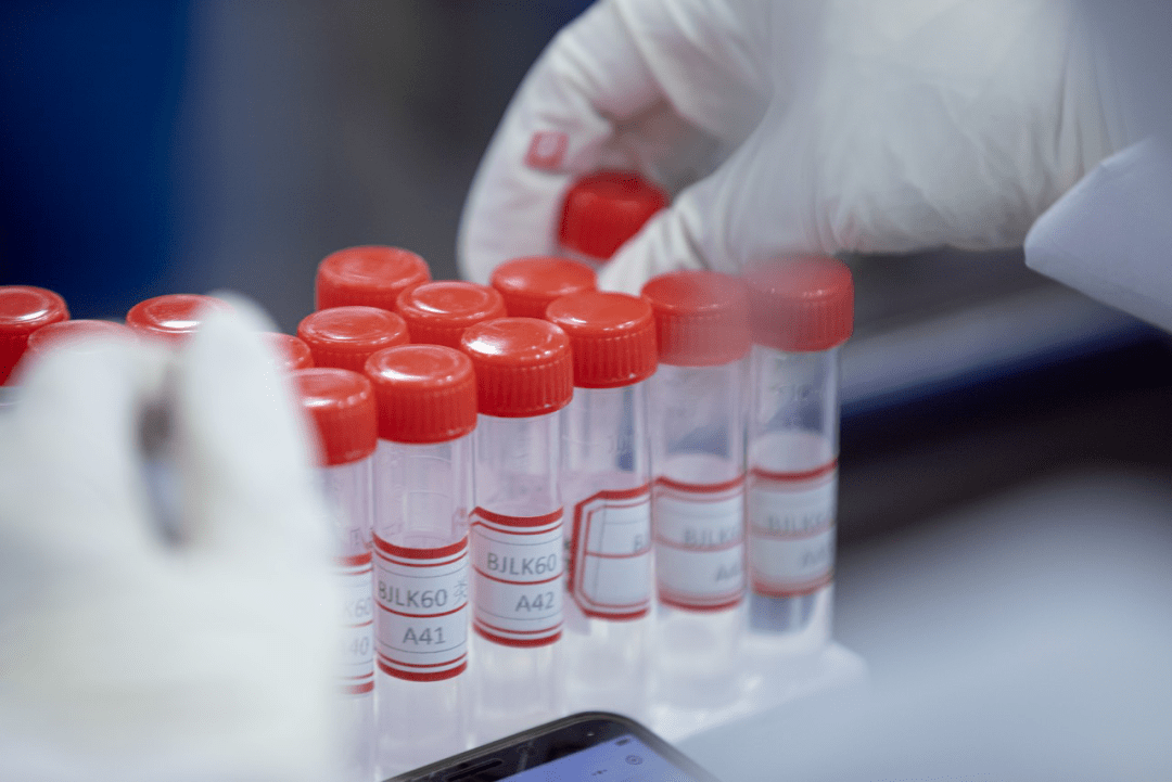 核检机构被指造假_ipo推荐机构造假责任_舌尖2被指造假提琴女为艺人