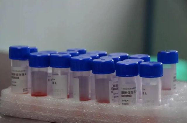 ipo推荐机构造假责任_舌尖2被指造假提琴女为艺人_核检机构被指造假