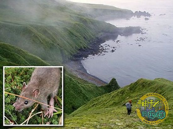 罗马爆发大规模抗议_纽约爆发抗议_英国伦敦南部爆发大规模抗议