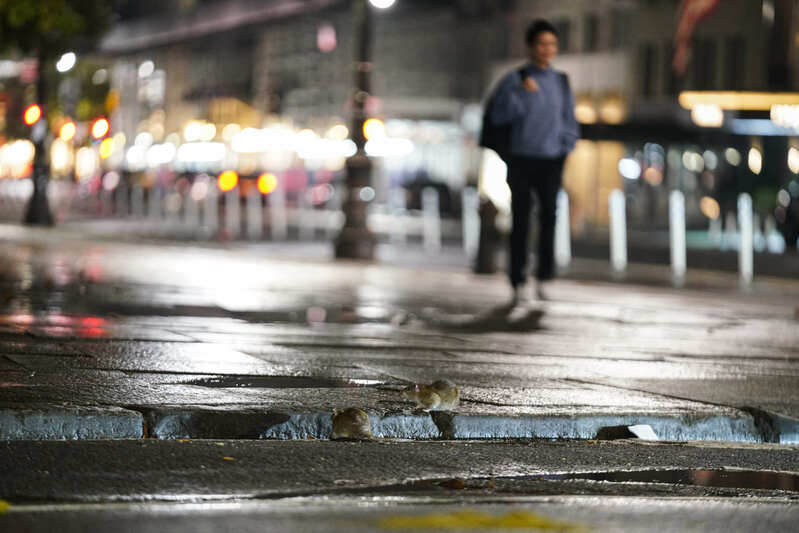 纽约爆发抗议_英国伦敦南部爆发大规模抗议_罗马爆发大规模抗议