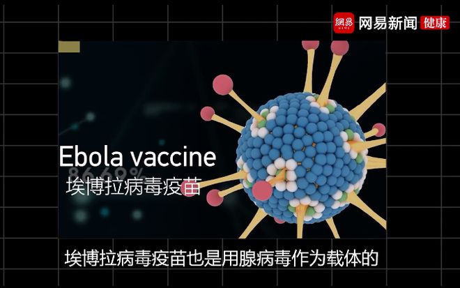 流感爆发疫情防控措施_高福谈未来疫情防控_登革热疫情分级防控技术指导方案