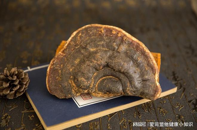 莲花清瘟颗粒的替代药_连花清瘟胶囊有上百种替代药_连花清瘟胶囊