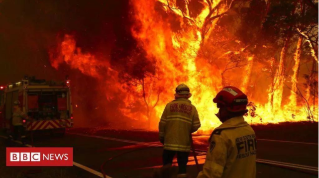 将妻子送出火场再救儿子时父子俩遇难_救丈夫冲进火场_见义勇为冲进火场救瘫痪老人