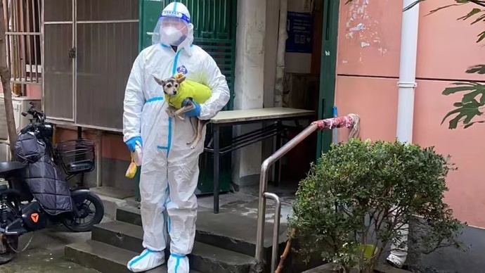 卫生法律法规有哪10条_新十条后的社区卫生中心怎么样了_社区与社区边界卫生