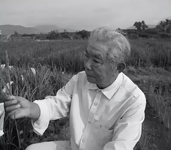 杨惠兰扮演者逝世_杨振林孙女杨喜_杨振玉逝世