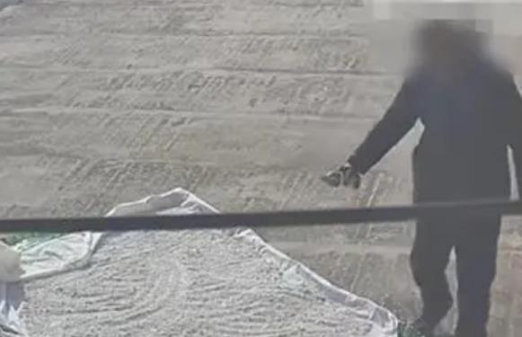 男子称自家晾晒藕粉疑遭邻居撒农药_撒农药飞机_男子称君 女子称什么