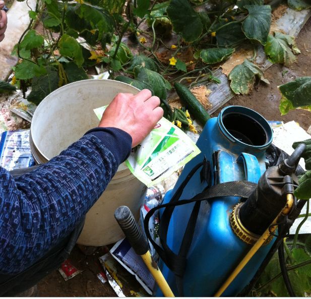 男子称自家晾晒藕粉疑遭邻居撒农药_男子称君女子称什么_男子称阁下,女子称什么
