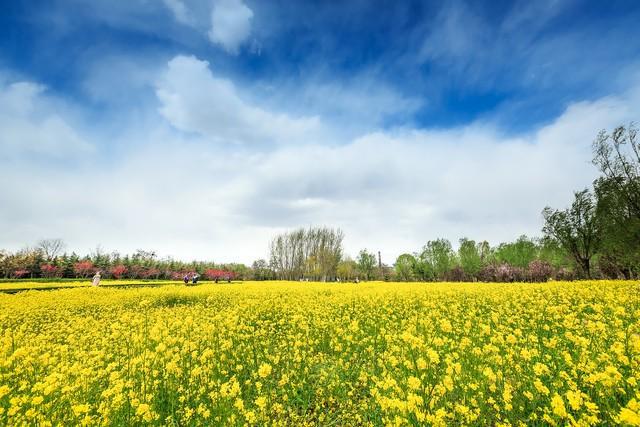 双色球专家预测126期预测_3d预测总汇 专家预测_专家预测感染峰值