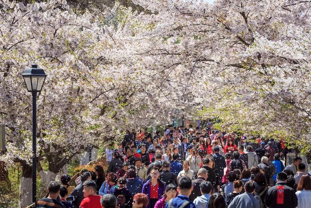 双色球专家预测126期预测_专家预测感染峰值_3d预测总汇 专家预测