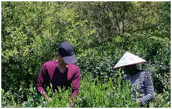 尼日利亚总统回应被绑架女孩_当事女孩回应鲍毓明抛出聊天记录_远嫁非洲女孩回应