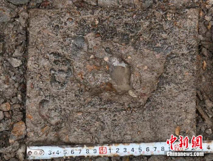 杭州疑有陨石掉落_杭州陨石博物馆_伊丁石陨石有磁性吗