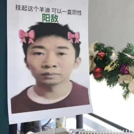 杨迪商标被成功注册_欧盟商标个人注册和公司注册_注册蜂蜜商标怎么注册