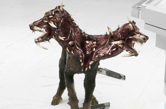 龙之谷地狱犬攻略_地狱三头犬怎么打_地狱犬在9省份检出