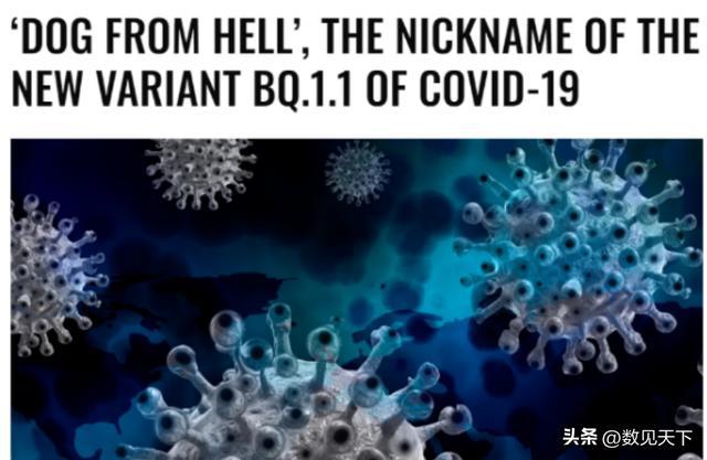 龙之谷地狱犬攻略_地狱三头犬怎么打_地狱犬在9省份检出