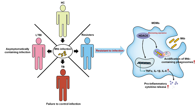 铜绿假单胞菌下呼吸道感染诊治专家共识_专家解释感染后复阳_专家谈伤口感染艾滋