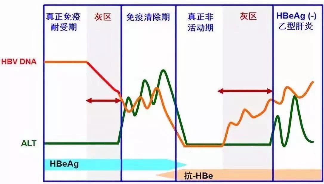 专家解释感染后复阳_积水潭医院骨感染专家_专家谈伤口感染艾滋