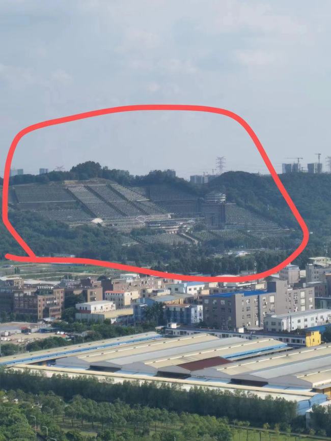 开发商回应女子买到墓景房要求退款！开发商回应