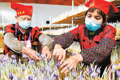 31省份2021年平均工资数据出炉_2018年协警工资改革方案出炉_去年工资数据出炉