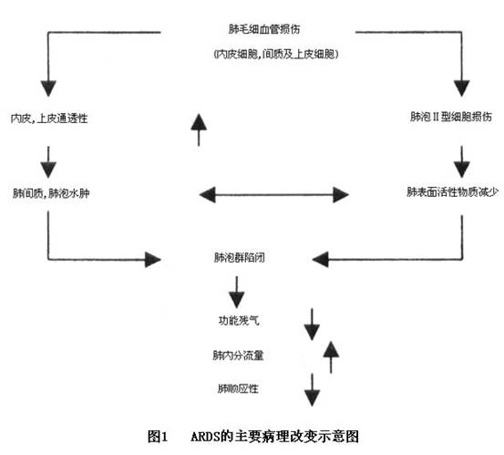 香港查血验男女要怀孕多少天_兆阳医疗器械 老人_老人阳了要查血氧