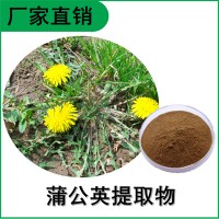 森冉生物 蒲公英提取物 黄花地丁提取物 植物提取原料粉
