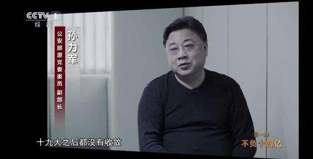 孙力军及其政治团伙成员皆获重判 三“虎”同日获刑
