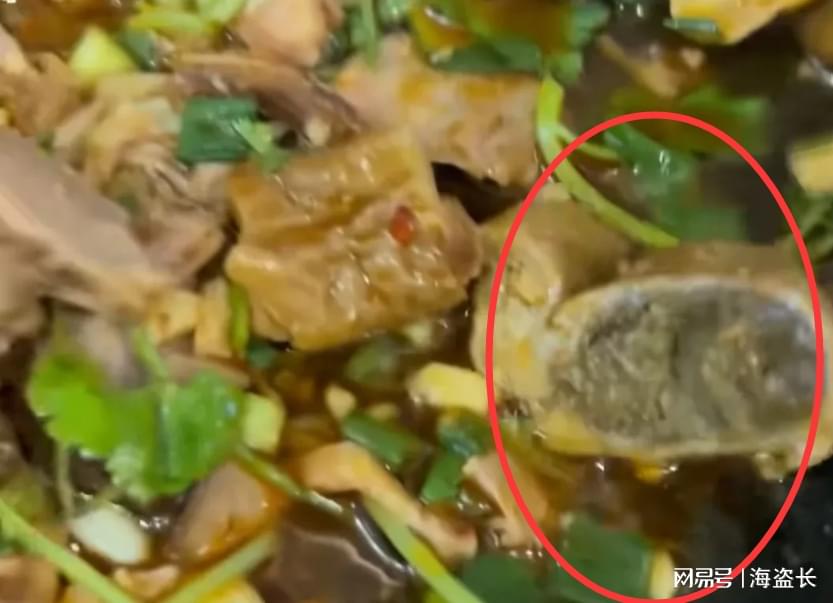 点肥肠吃出猪粪便_蕨麻猪粪便_猪肥肠怎么洗才干净