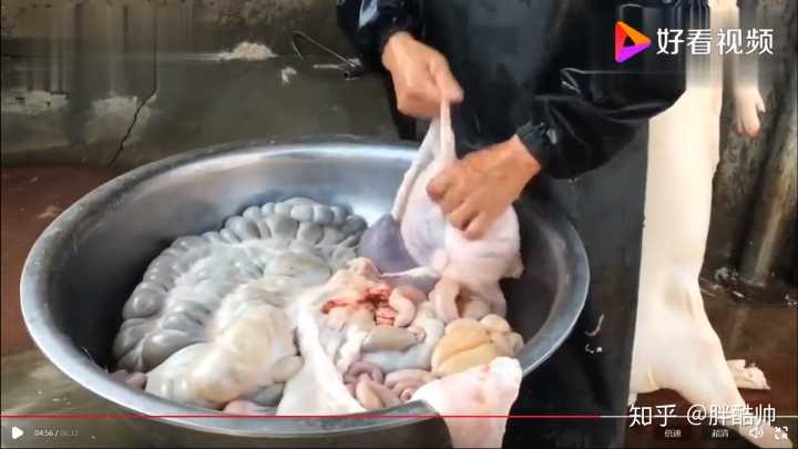 蕨麻猪粪便_猪肥肠是黑色可以吃吗_点肥肠吃出猪粪便
