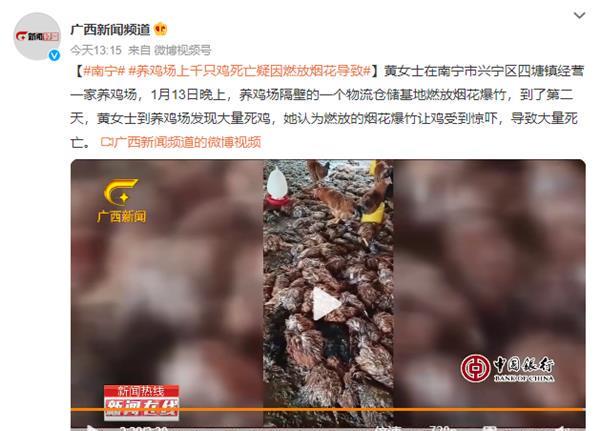 养鸡场上千只鸡死亡_好好的鸡突然就死亡_鸡脾脏肿大,突然鸡死亡