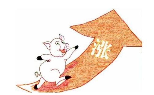 猪肉价格再降_猪肉价格走势图_2008年猪肉价格