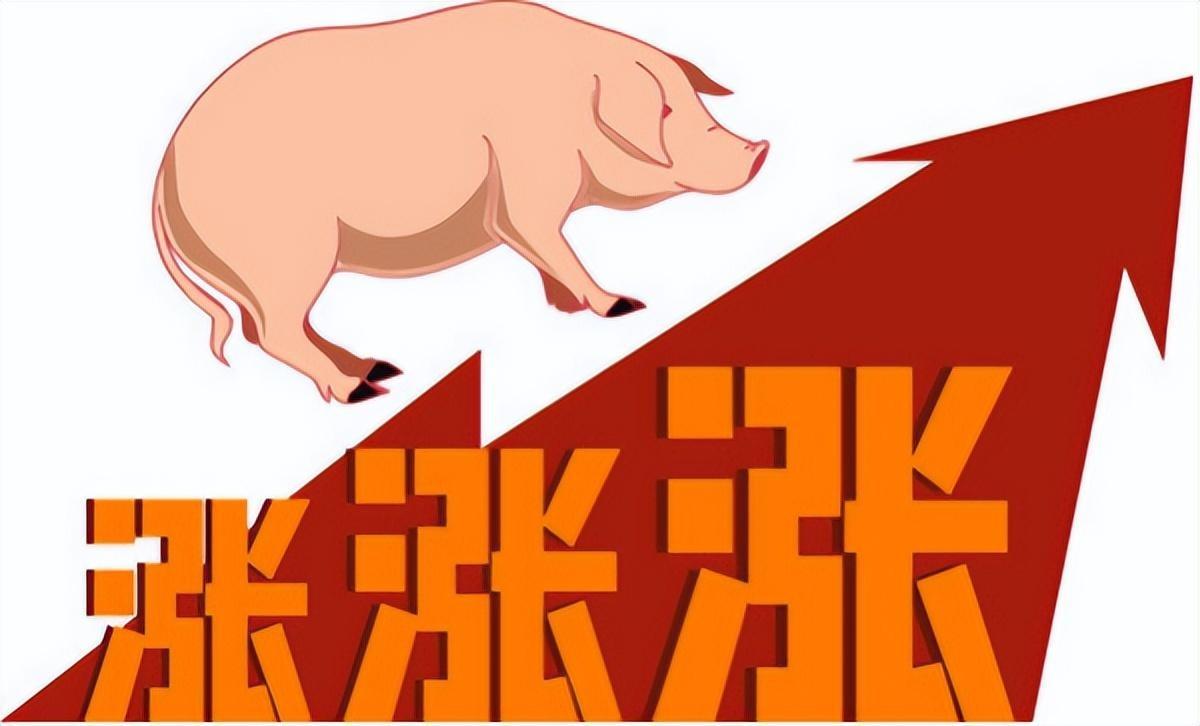 南宁猪肉价格今天价格_猪肉价格再降_黑猪肉价格
