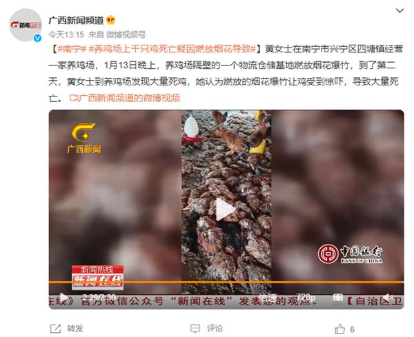 健康之路养骨先养筋上央视网_养鸡场技术_养鸡场上千只鸡死亡