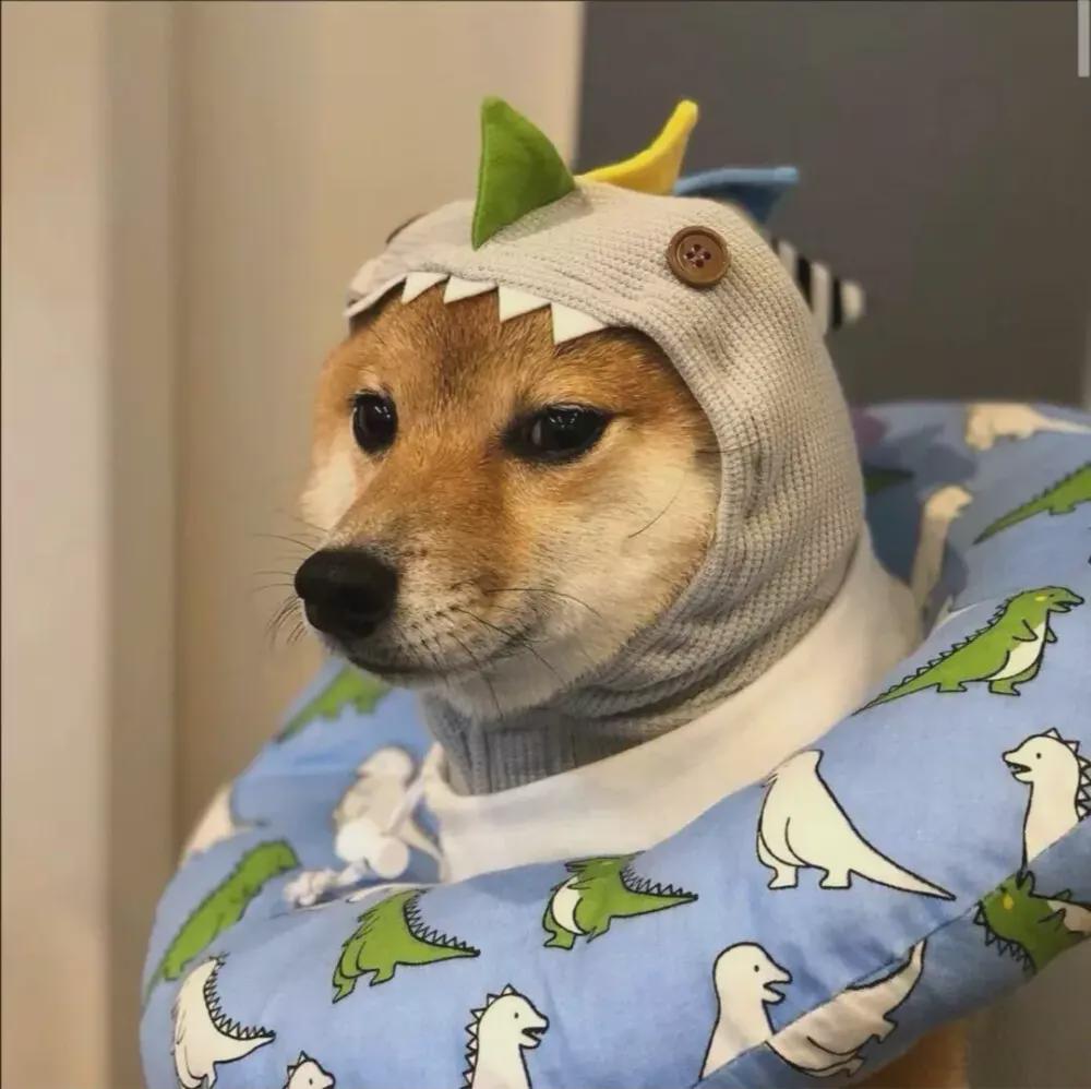 胡一菲的弹一闪