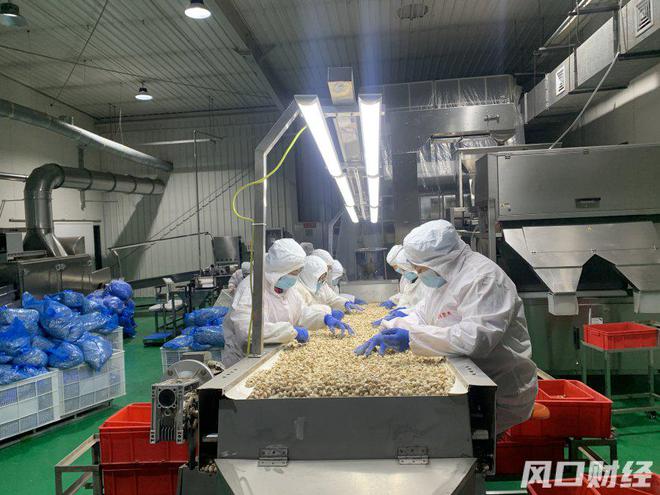 饿了么日订单量_开心果订单量暴涨_如何提高外卖订单量