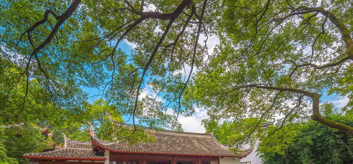 长沙游客吐槽_吐槽大会周杰吐槽视频_英文翻译 长沙烈士公园游客特征的调查