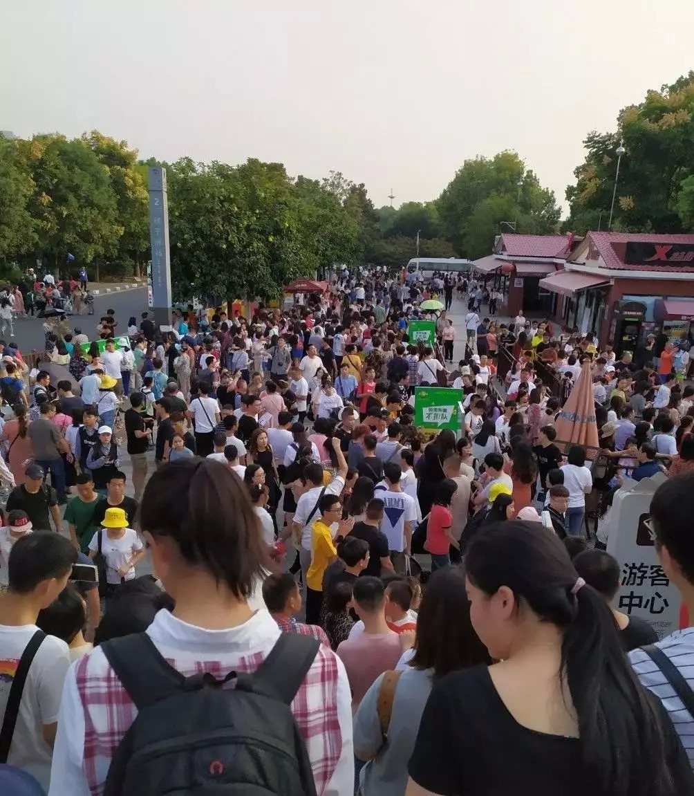 两游客遭老虎袭击 只因游客不听劝告私自下车闯大祸_神吐槽吐槽_长沙游客吐槽
